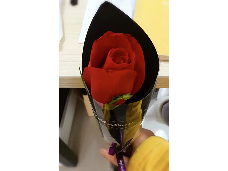 2017 Goddess Festival